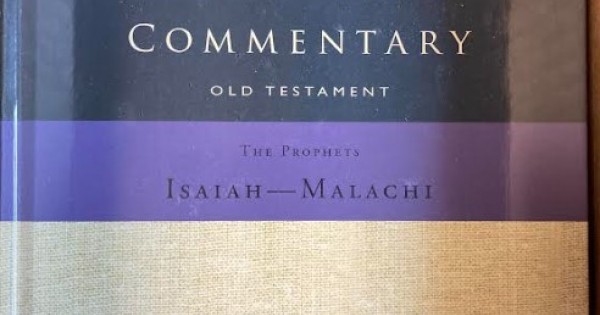 The Bible Exposition Commentary, 6 Volumes The Bible Exposition Commentary, 6 Volumes